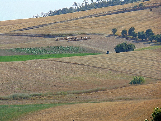 San Marco Argentano - Paesaggio