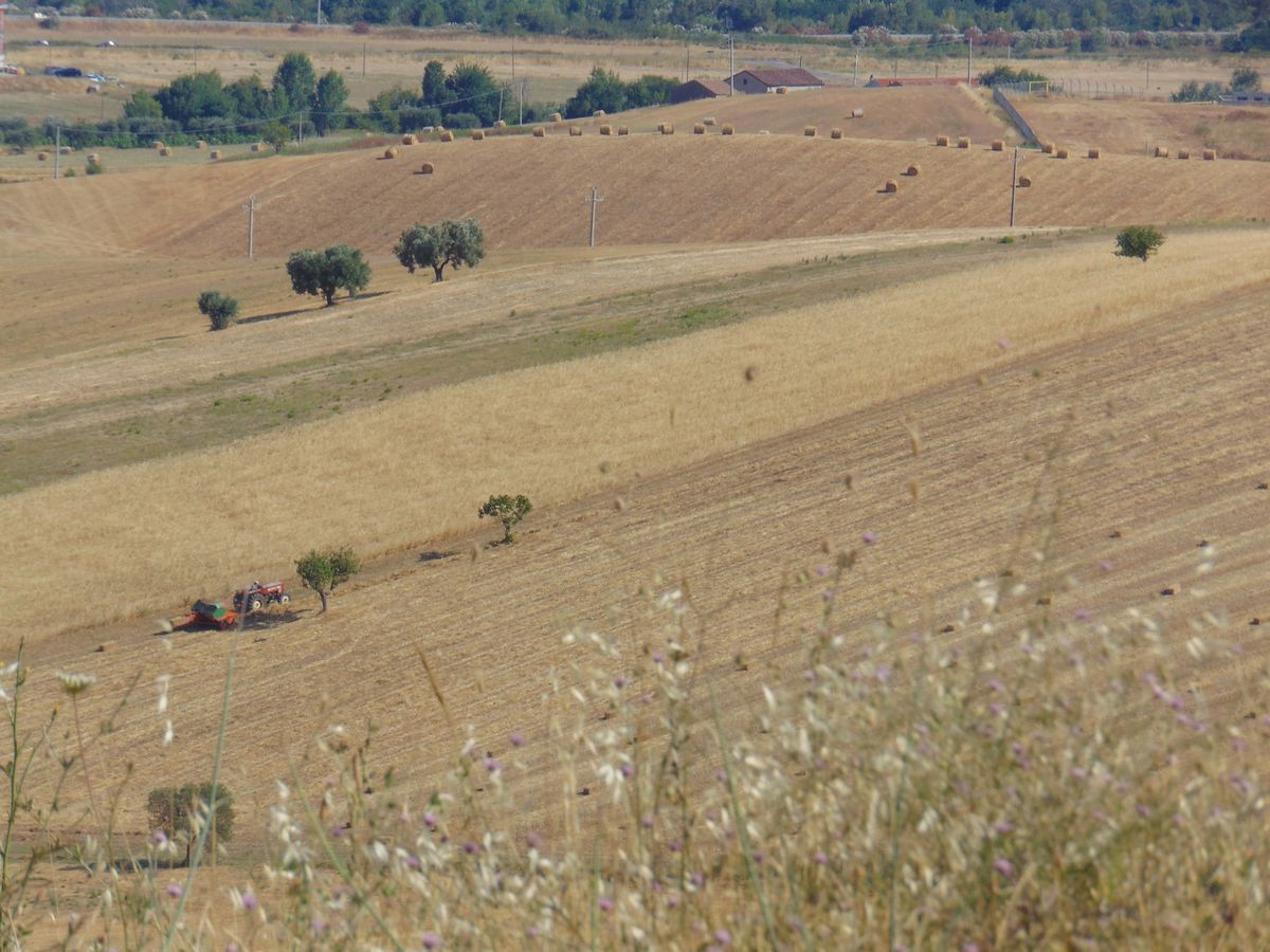 San Marco Argentano