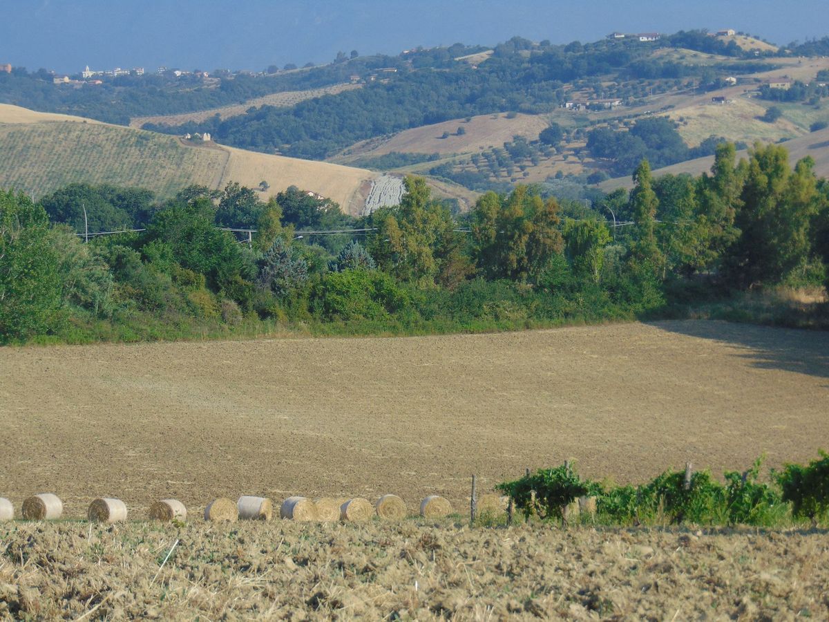 San Marco Argentano
