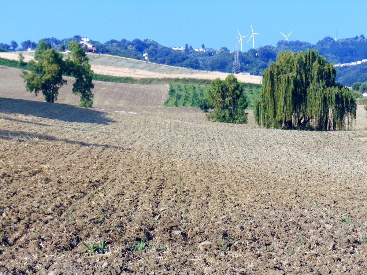 San Marco Argentano