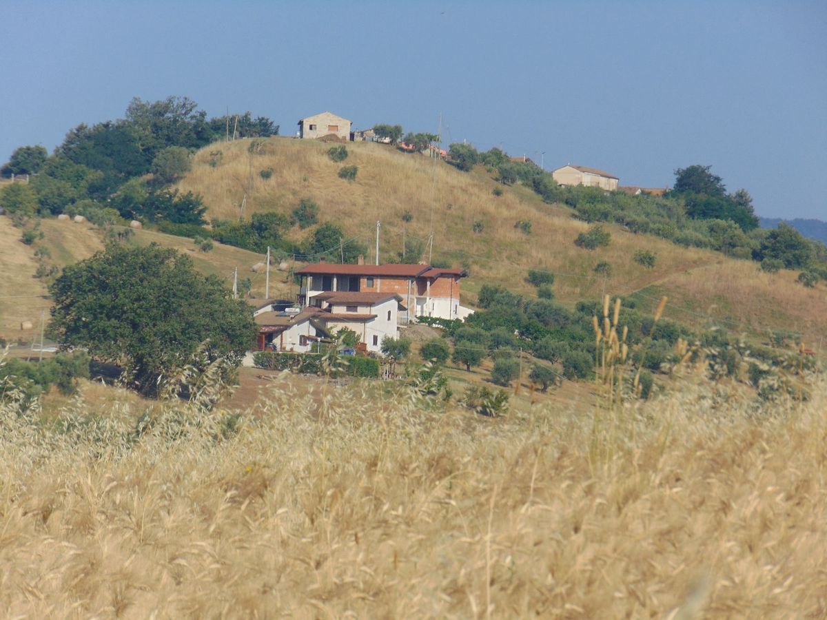 San Marco Argentano