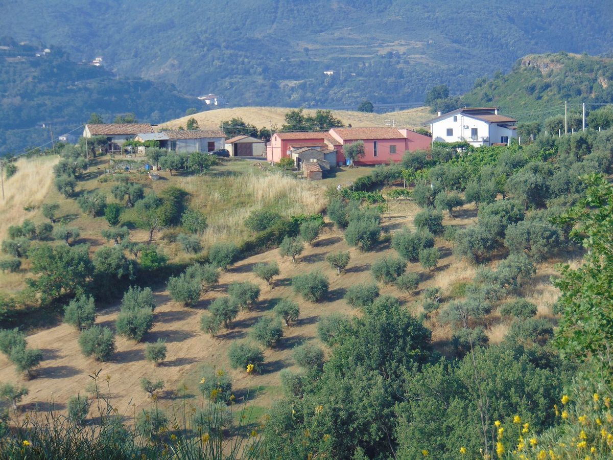 San Marco Argentano