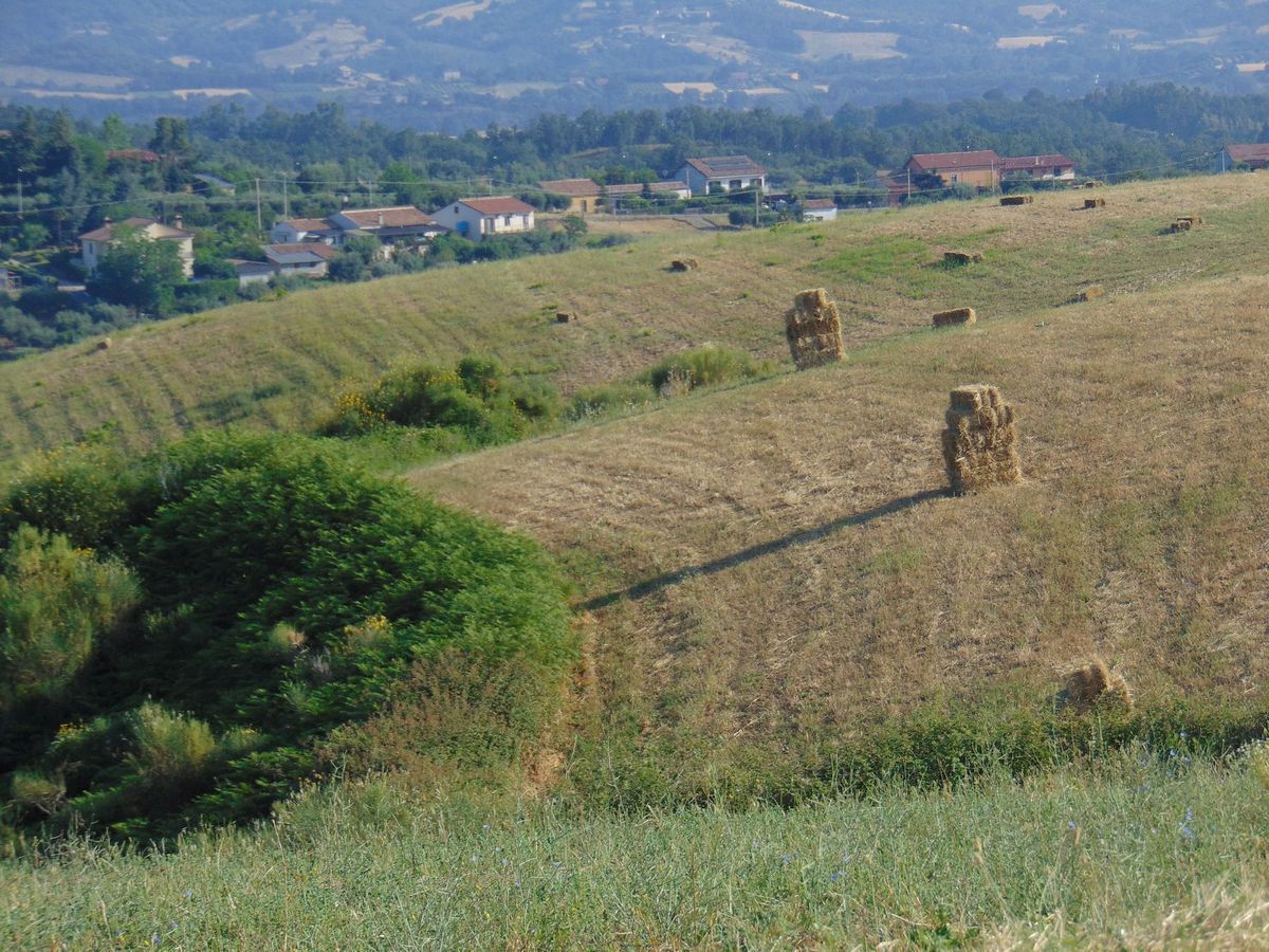 San Marco Argentano