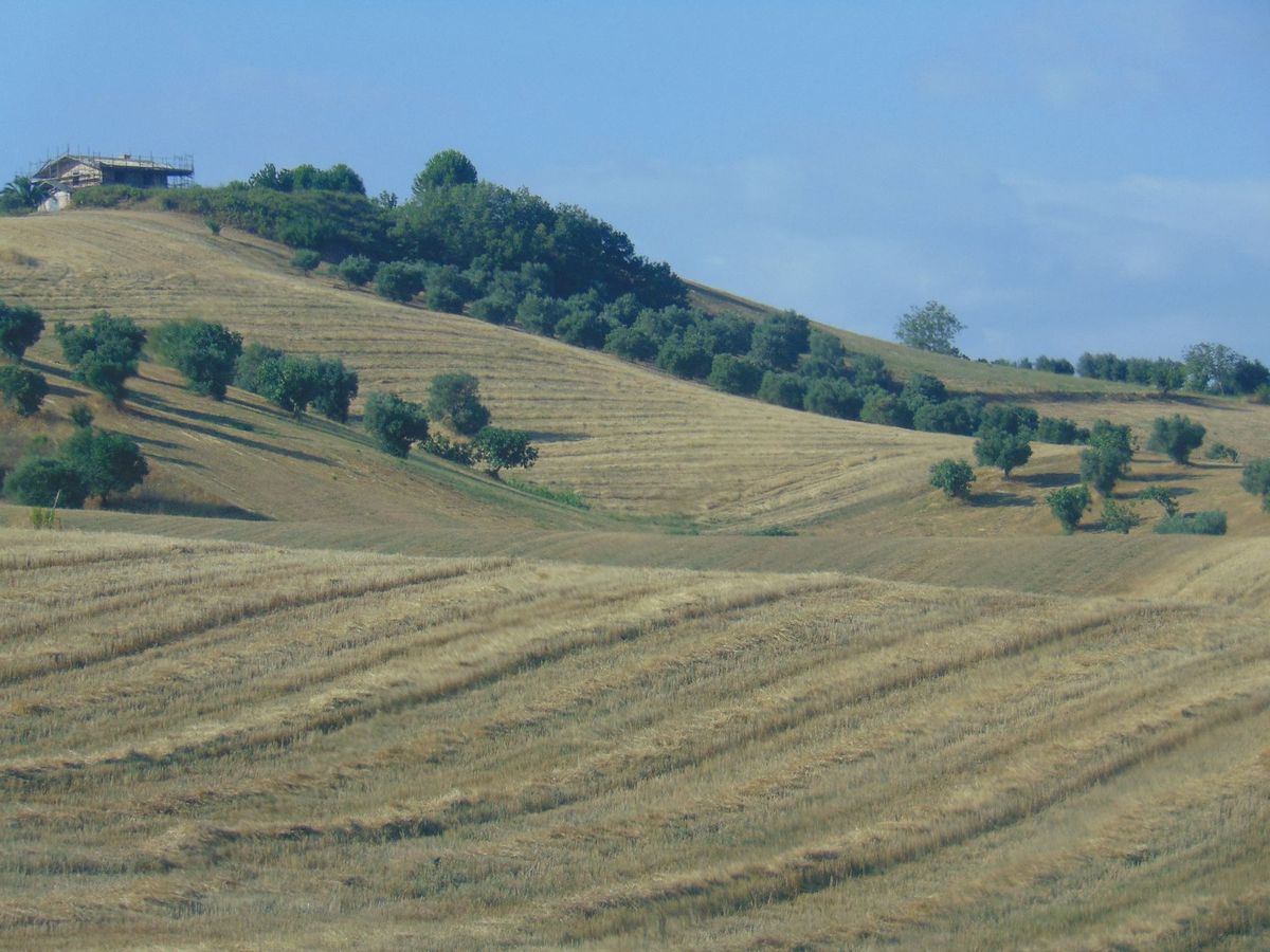 San Marco Argentano