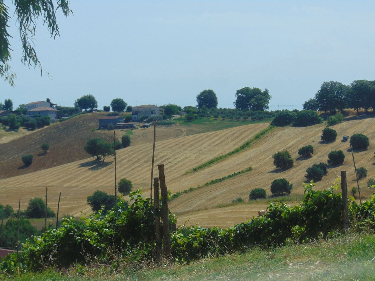 San Marco Argentano