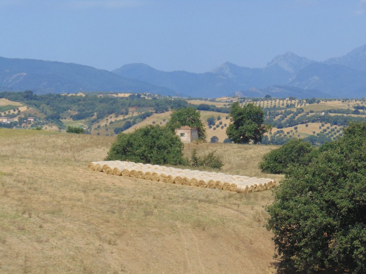 San Marco Argentano