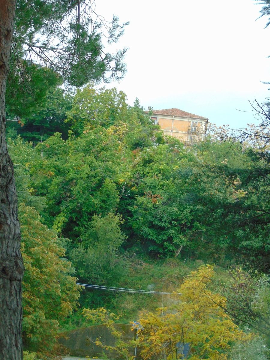 San Marco Argentano