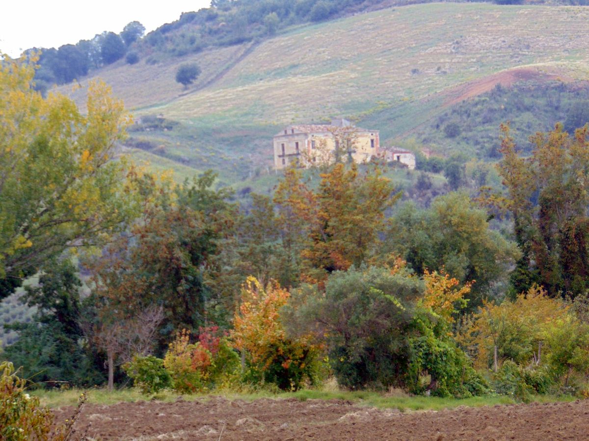 San Marco Argentano