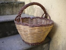 Sporta