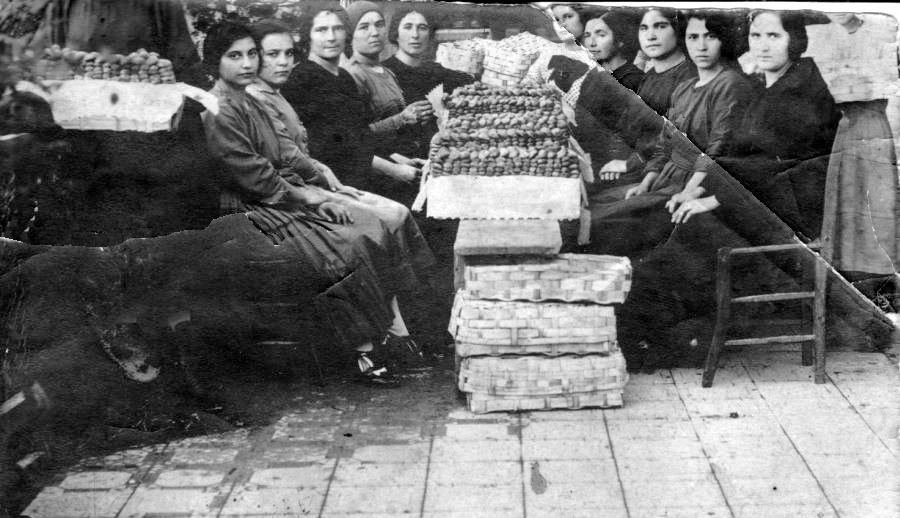 Incestamento fichi San Marco Argentano 1940