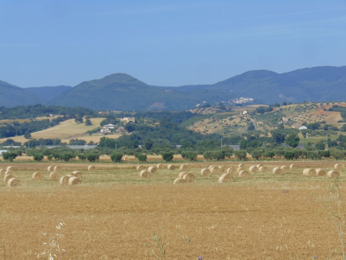 San Marco Argentano
