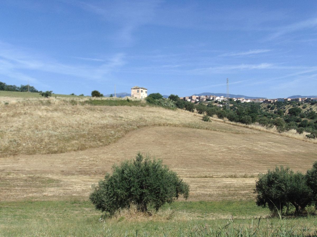San Marco Argentano