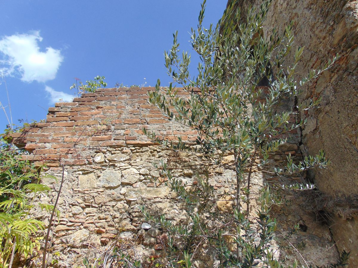 San Marco Argentano