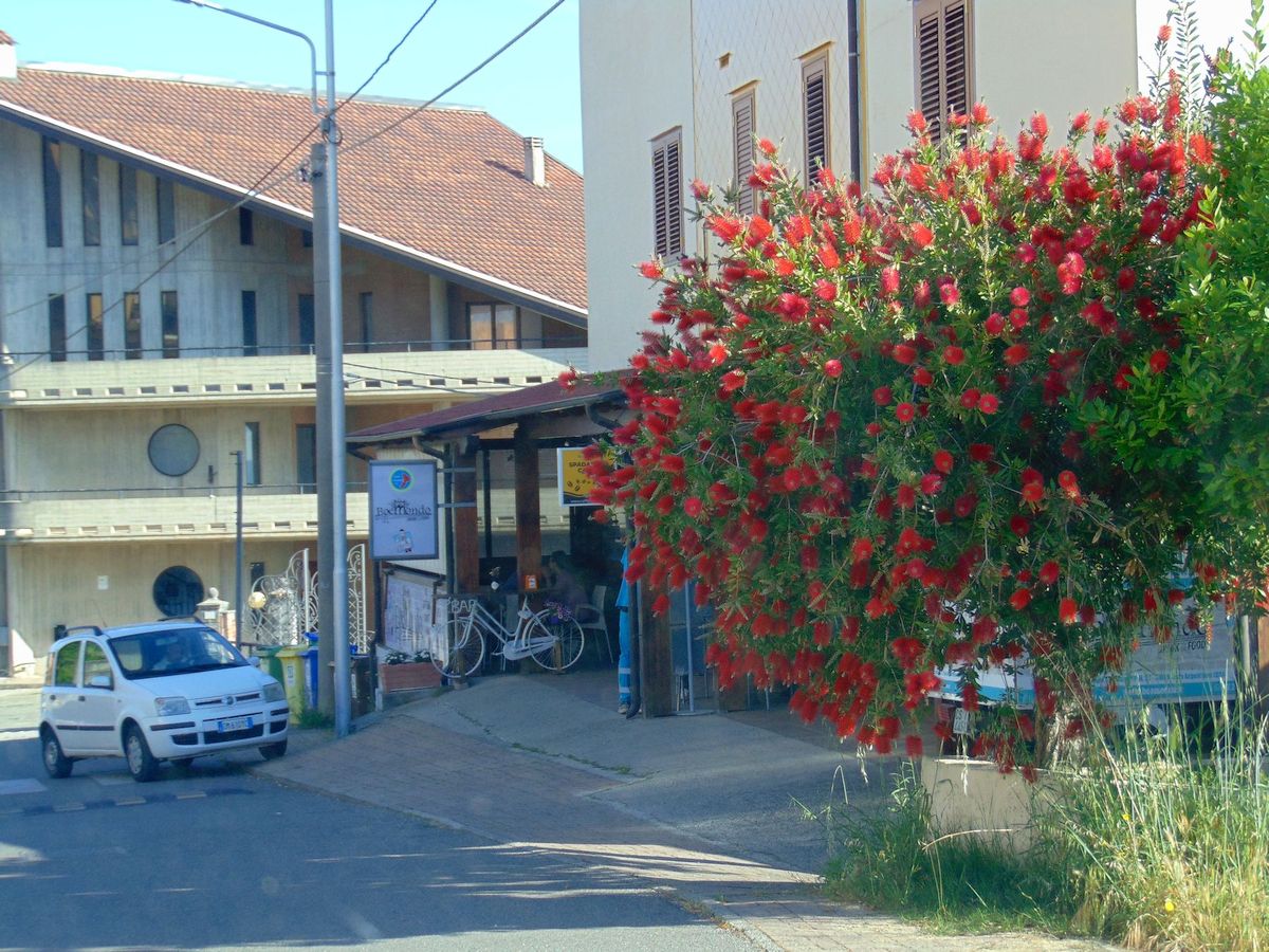 San Marco Argentano