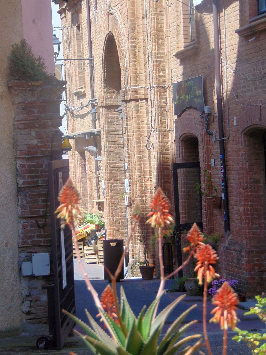 San Marco Argentano