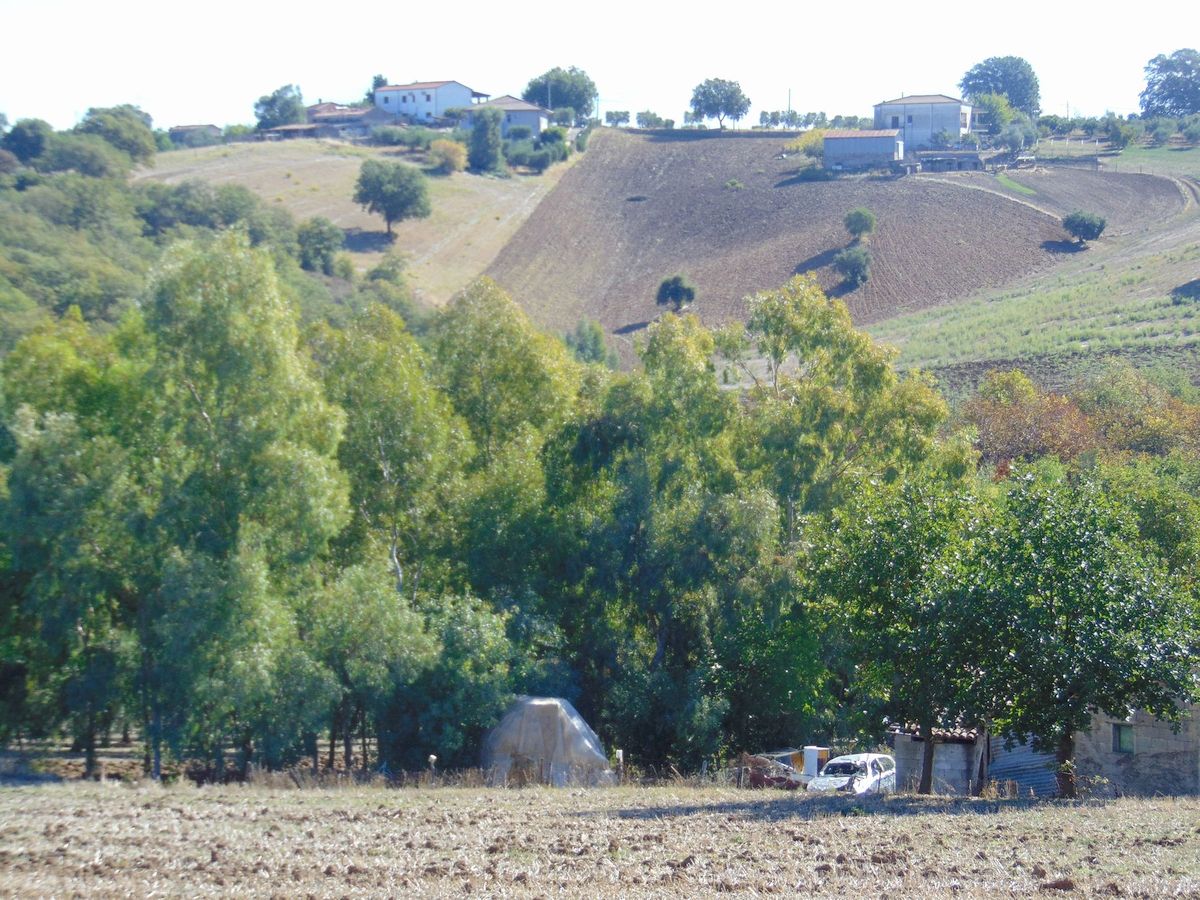 San Marco Argentano