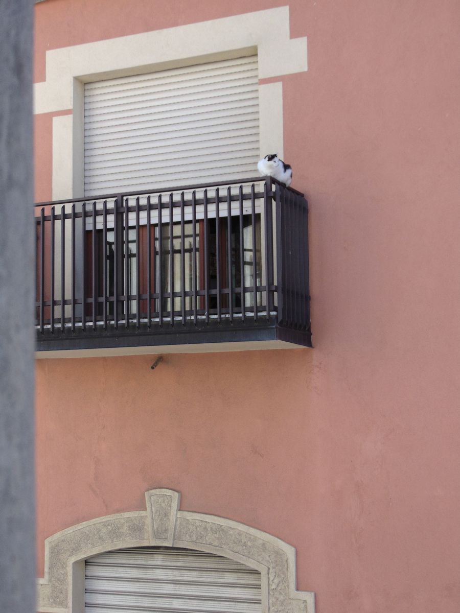San Marco Argentano