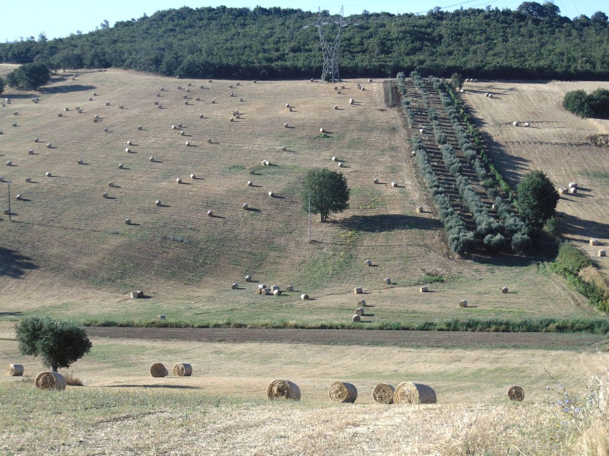 San Marco Argentano