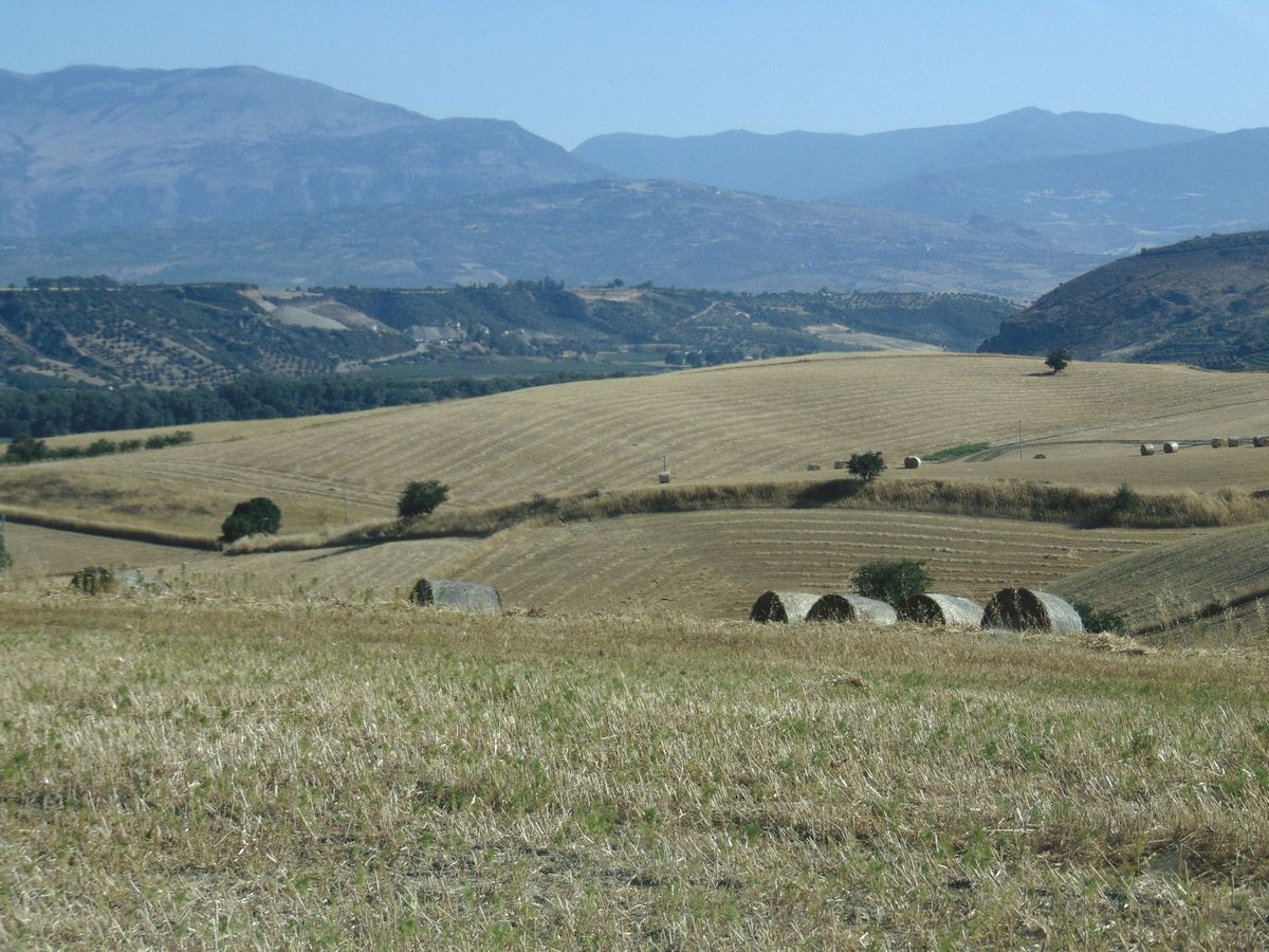 San Marco Argentano