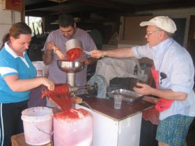 Tomato Sauce Making