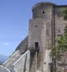 torre